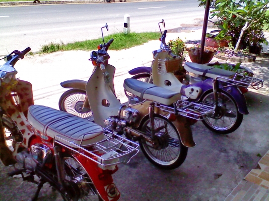 หนุ่ม ปราจีน : ขาย C65 ถังแยก แฮนด์ตรง ทะเบียน+ชุดโอน