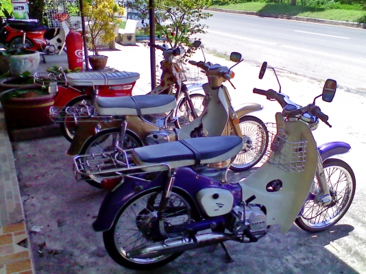 หนุ่ม ปราจีน : ขาย C100 สีม่วงสวยๆ เครื่องไลฟาน110 แรงจัด