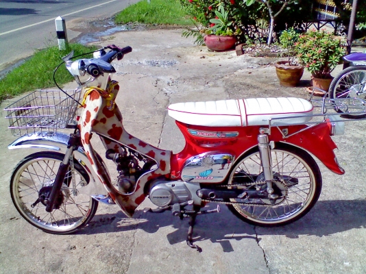 หนุ่ม ปราจีน : ขาย C70 (แปลง) เครื่องดรีม โครงดรีม ส่งทุกจังหวัด