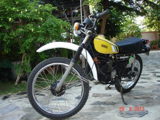 ขาย DT100X