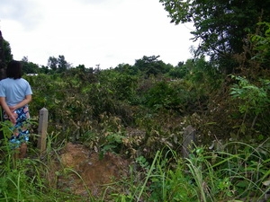 ที่สร้างบ้านถูกๆครับ