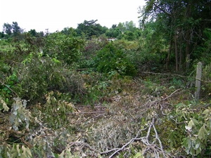 ที่สร้างบ้านถูกๆครับ