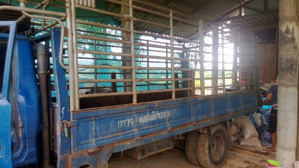 ขาย โตโยต้า ไดน่า ปี 34 สภาพดีใช่งานอยู่