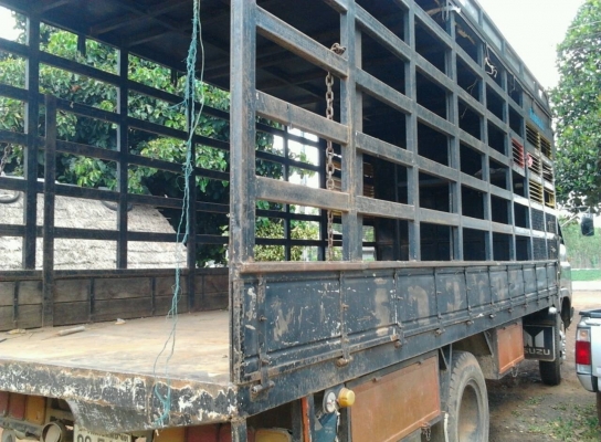 ISUZU JCM 145 HP 6 BB1 กระบะคอกเหล็กมีหลังคาความยาว 5.50 เมตรสภาพสวย เครื่องแน่นแรงดี ภายในเก๋งคอนโซลสวยครบ ช่วงล่างคัชซีสวยไม่มีดาม ยาง 8.25 ขอบ 20 สภาพดีพร้อมใช้งานได้เลย เอกสารทะเบียนครบพร้อม ราคาต่อรองได้ครับ