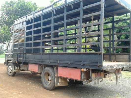 ISUZU JCM 145 HP 6 BB1 กระบะคอกเหล็กมีหลังคาความยาว 5.50 เมตรสภาพสวย เครื่องแน่นแรงดี ภายในเก๋งคอนโซลสวยครบ ช่วงล่างคัชซีสวยไม่มีดาม ยาง 8.25 ขอบ 20 สภาพดีพร้อมใช้งานได้เลย เอกสารทะเบียนครบพร้อม ราคาต่อรองได้ครับ