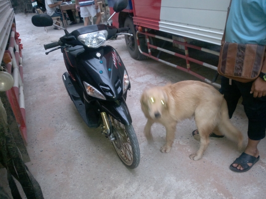 คุณแก่น พิษณุโลก.จองแล้วรถออกเดินทางจากสารคามแล้วพร้อมมอไซสวยๆ