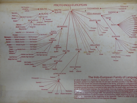 THE AMERICAN HERITAGE DICTIONARY OF THE ENGLISH LANGUAGE TEL.081-005-8785