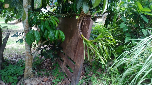 10ล้อดั้มร็อคกี้FVZ 195แรง ห้างแท้ เครื่องสวย คัสซีสวย ยางสวย