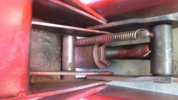 มีตะเข้ มาขาย มีตะเข้ มาขาย