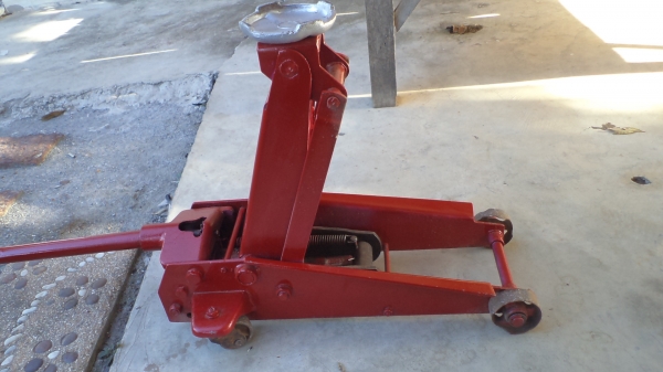 มีตะเข้ มาขาย มีตะเข้ มาขาย