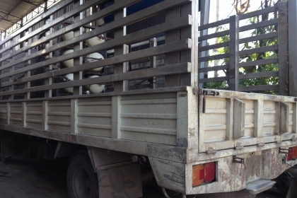 ขายกระบะแสตนเหรดติดรถ6ล้อ ยาว5.5เมตร คัซซี70ซม สภาพสวยไม่มีบุบ ยังไม่เอาลงจากรถ