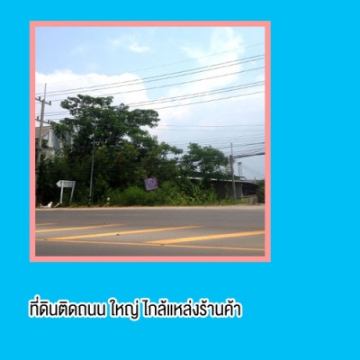 ขายที่ดินเปล่า ขายถูกมาก ทำเลดี  ที่สันป่าตองเชียงใหม่