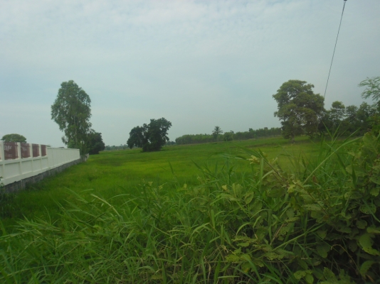 ขอนอกเรื่องนะครับ ขายที่ 2ไร่กว่า ห่างจากสตึก 1กิโลกว่า