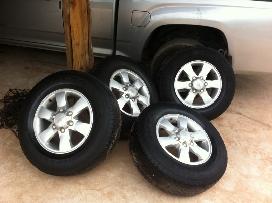 แม็กซ์ ดีแมก ไฮแลนเดอร์ ขอบ16