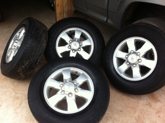 แม็กซ์ ดีแมก ไฮแลนเดอร์ ขอบ16