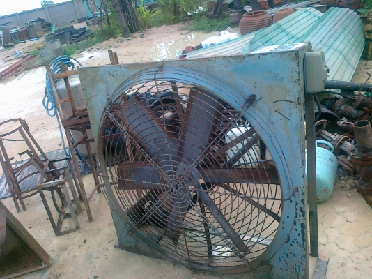 ขายโฟลืคลิฟเก่านอก