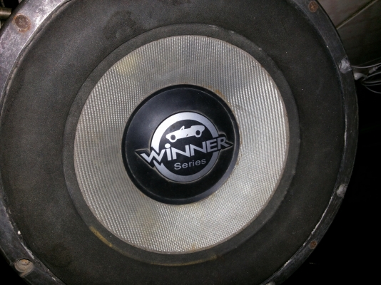 ขายดอกฃับ12นิ้วราคาถูก1ดอก