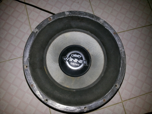 ขายดอกฃับ12นิ้วราคาถูก1ดอก