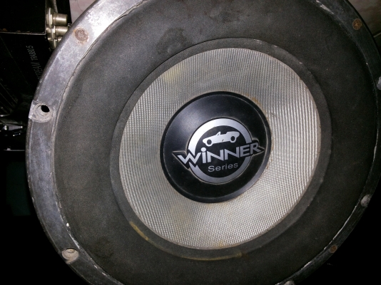 ขายดอกฃับ12นิ้วราคาถูก1ดอก