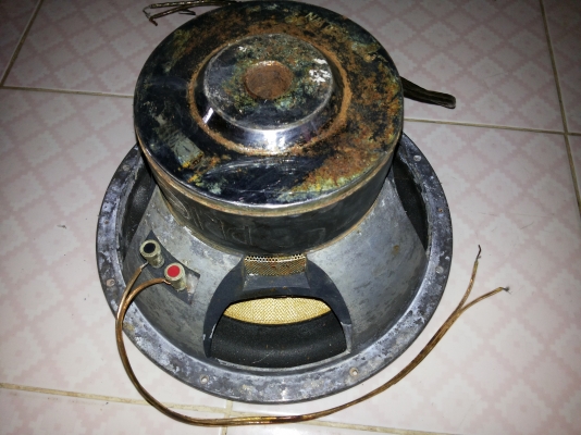 ขายดอกฃับ12นิ้วราคาถูก1ดอก