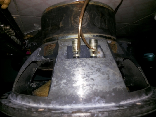 ขายดอกฃับ12นิ้วราคาถูก1ดอก