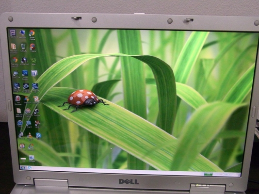 ผขายแล้วครับ)บางใหญ่ แรงระดับ Full HD 1080p NVIDIA GeForce DELL XPS M1710 แค่ 8,000 ช้าอด ผขายแล้วครับ)บางใหญ่ แรงระดับ Full HD 1080p NVIDIA GeForce DELL XPS M1710 แค่ 8,000 ช้าอด