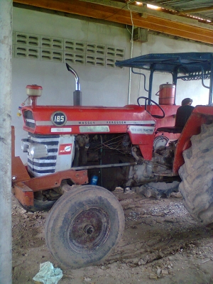 ขายรถไถแมสซี่ 185 เพลาเหลี่ยม พร้อมใช้ ขายรถไถแมสซี่ 185 เพลาเหลี่ยม พร้อมใช้