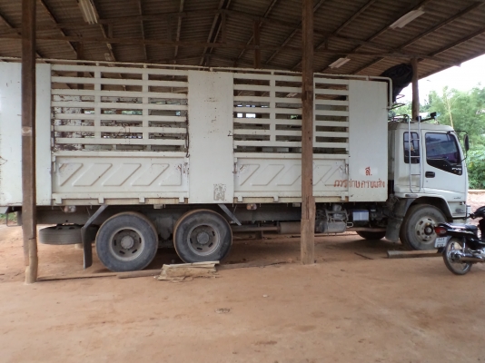 ขาย isuzu dega euro 2