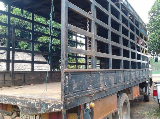 ***ขายแล้วครับขอบคุณ Truck2hand **ปรับราคา (เพิ่มรูปคัสซี) ขาย 6ล้อใหญ่ อดีตรถฉายหนัง ราคาเบาๆ ISUZU JCM 145HP เครื่อง6BB 145HP แห้งดี ไม่เยิ้มติดง่าย อึดทน ช่วงล่างแน่นคัสซีดี มีบวมช่วงปลายหลังหูแหนบหลังไปและบวมซับใน(ตามรูป)แต่ทั้งเส้นถือว่าดีช่วงกลางไปห