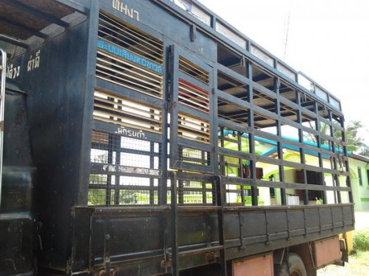 ***ขายแล้วครับขอบคุณ Truck2hand **ปรับราคา (เพิ่มรูปคัสซี) ขาย 6ล้อใหญ่ อดีตรถฉายหนัง ราคาเบาๆ ISUZU JCM 145HP เครื่อง6BB 145HP แห้งดี ไม่เยิ้มติดง่าย อึดทน ช่วงล่างแน่นคัสซีดี มีบวมช่วงปลายหลังหูแหนบหลังไปและบวมซับใน(ตามรูป)แต่ทั้งเส้นถือว่าดีช่วงกลางไปห