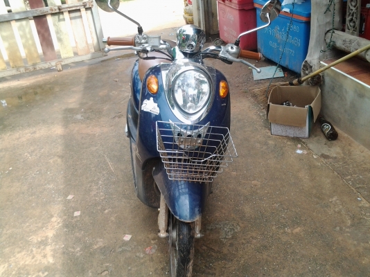 ขายฟีโน่ ปี 53 ราค 15000 เล่มพร้อมโอน