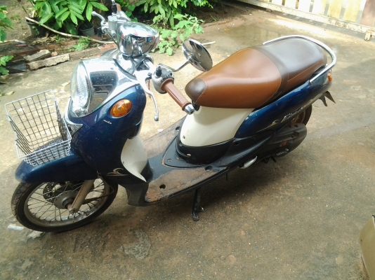 ขายฟีโน่ ปี 53 ราค 15000 เล่มพร้อมโอน