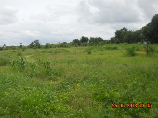 ขายที่ดิน4ไร่โฉนดวิวสวยใกล้มายโอโซนบ้านซับเศรษฐีปากช่องเหมาะทำบ้านพักตากอากาศ ขายที่ดิน4ไร่โฉนดวิวสวยใกล้มายโอโซนบ้านซับเศรษฐีปากช่องเหมาะทำบ้านพักตากอากาศ