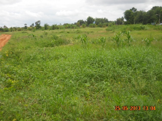 ขายที่ดิน4ไร่โฉนดวิวสวยใกล้มายโอโซนบ้านซับเศรษฐีปากช่องเหมาะทำบ้านพักตากอากาศ