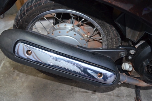 ขายฟีโน่ สีนํ้าตาล ขายฟีโน่ สีนํ้าตาล