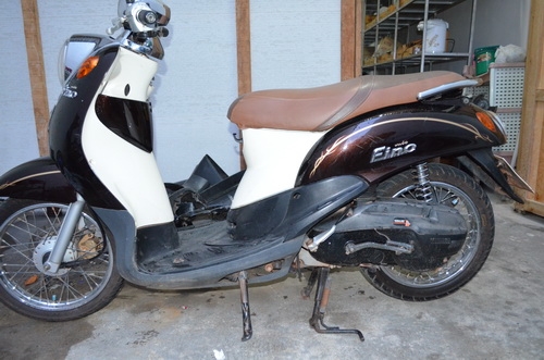 ขายฟีโน่  สีนํ้าตาล