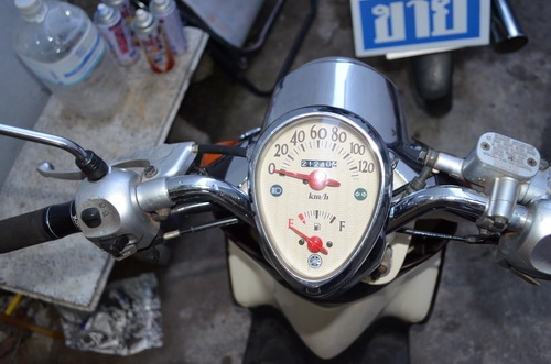 ขายฟีโน่ สีนํ้าตาล ขายฟีโน่ สีนํ้าตาล