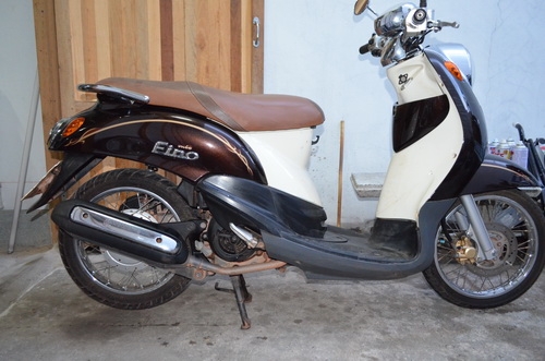 ขายฟีโน่ สีนํ้าตาล ขายฟีโน่ สีนํ้าตาล