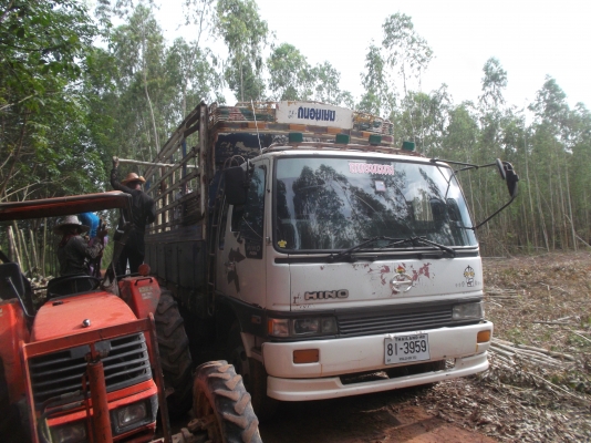 ขายด่วนรถสิบล้อFL1761เพลาไมดรั้มเครือง185แรงม้า