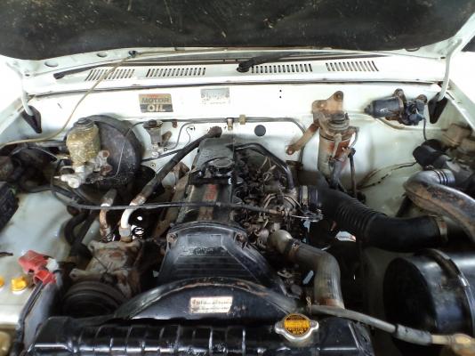 ขายไมตี้ช่วงสั้น 4 ขอ สวยๆๆ