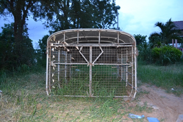 ขายโครงหลังคารถกระบะตอนเดียว มี 2 หลัง ขายโครงหลังคารถกระบะตอนเดียว มี 2 หลัง