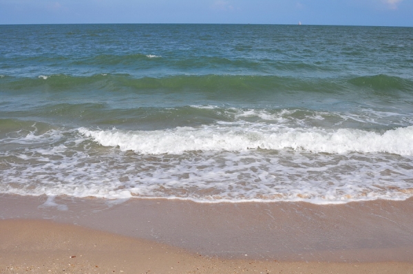 ขายที่ดิน 6-01-13 ไร่ ใกล้หาดคลองเทียน ชะอำ เพียง 400 เมตร และที่ดินติดคลอง ออกสู่ทะเล เพียง 400 เมตร ได้เลย