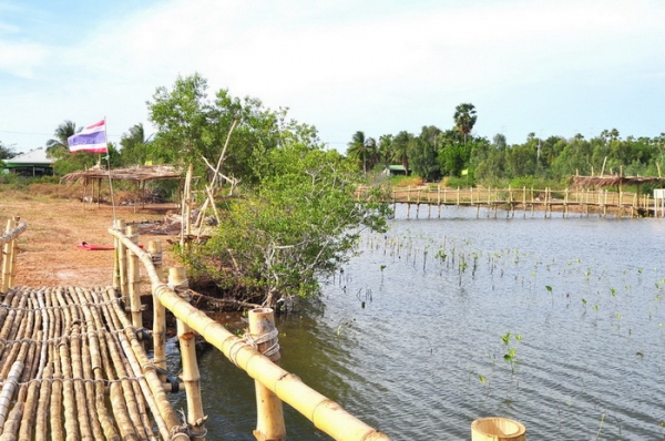 ขายที่ดิน 6-01-13 ไร่ ใกล้หาดคลองเทียน ชะอำ เพียง 400 เมตร และที่ดินติดคลอง ออกสู่ทะเล เพียง 400 เมตร ได้เลย