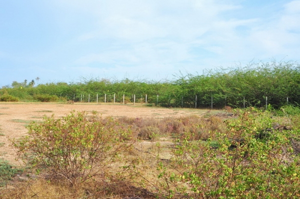 ขายที่ดิน 6-01-13 ไร่ ใกล้หาดคลองเทียน ชะอำ เพียง 400 เมตร และที่ดินติดคลอง ออกสู่ทะเล เพียง 400 เมตร ได้เลย