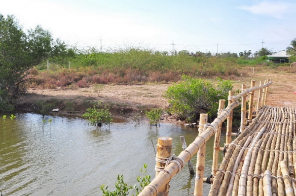 ขายที่ดิน 6-01-13 ไร่ ใกล้หาดคลองเทียน ชะอำ เพียง 400 เมตร และที่ดินติดคลอง ออกสู่ทะเล เพียง 400 เมตร ได้เลย