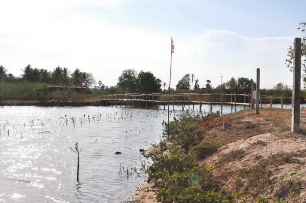 ขายที่ดิน 6-01-13 ไร่ ใกล้หาดคลองเทียน ชะอำ เพียง 400 เมตร และที่ดินติดคลอง ออกสู่ทะเล เพียง 400 เมตร ได้เลย