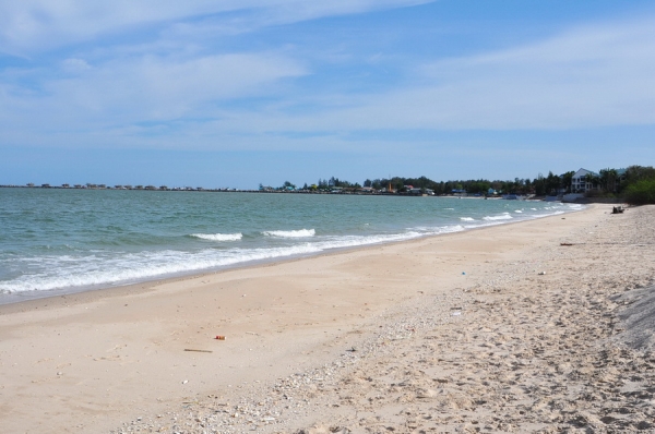 ขายที่ดิน 6-01-13 ไร่ ใกล้หาดคลองเทียน ชะอำ เพียง 400 เมตร และที่ดินติดคลอง ออกสู่ทะเล เพียง 400 เมตร ได้เลย