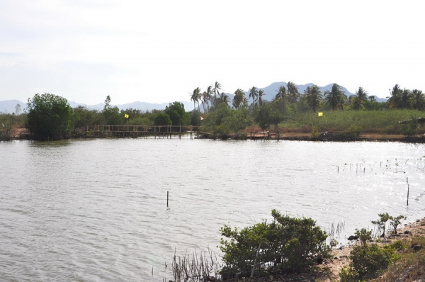 ขายที่ดิน 6-01-13 ไร่ ใกล้หาดคลองเทียน ชะอำ เพียง 400 เมตร และที่ดินติดคลอง ออกสู่ทะเล เพียง 400 เมตร ได้เลย