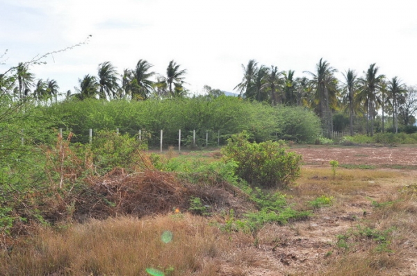 ขายที่ดิน 6-01-13 ไร่ ใกล้หาดคลองเทียน ชะอำ เพียง 400 เมตร และที่ดินติดคลอง ออกสู่ทะเล เพียง 400 เมตร ได้เลย