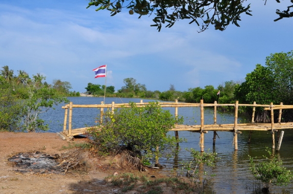 ขายที่ดิน 6-01-13 ไร่ ใกล้หาดคลองเทียน ชะอำ เพียง 400 เมตร และที่ดินติดคลอง ออกสู่ทะเล เพียง 400 เมตร ได้เลย